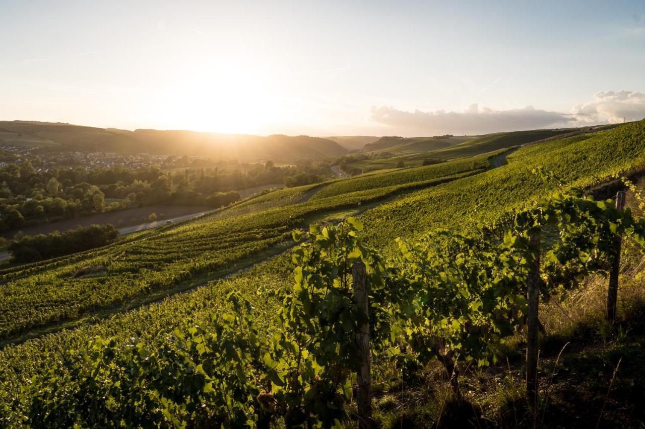 Weingut Und Gastehaus Holger Alt Otel Monzingen Dış mekan fotoğraf