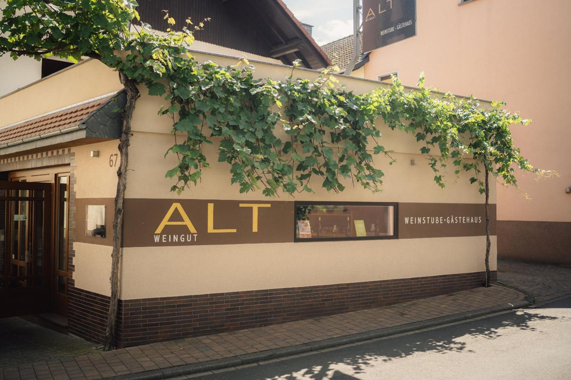 Weingut Und Gaestehaus Holger Alt Monzingen Dış mekan fotoğraf