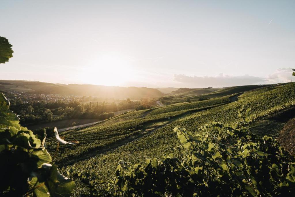 Weingut Und Gaestehaus Holger Alt Monzingen Dış mekan fotoğraf