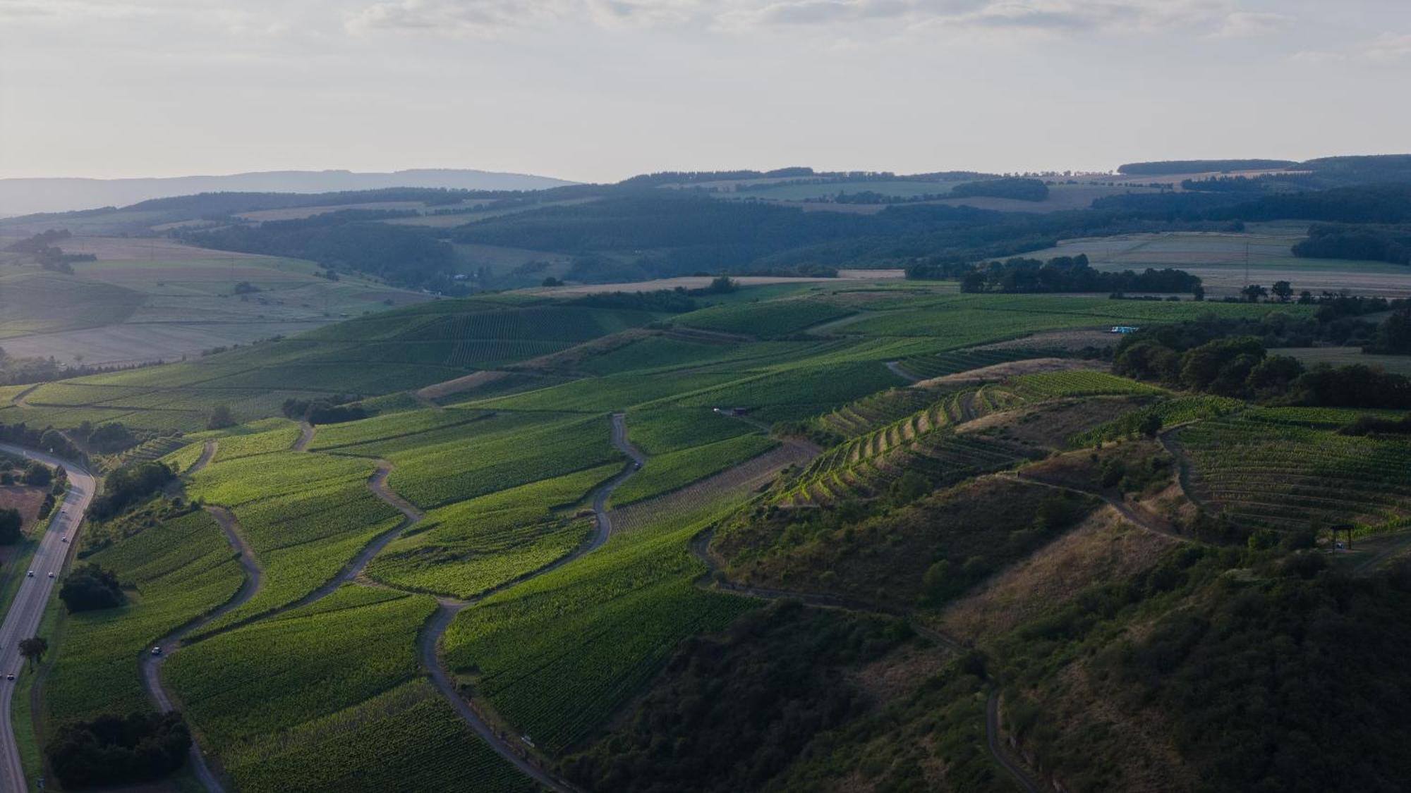 Weingut Und Gaestehaus Holger Alt Monzingen Dış mekan fotoğraf